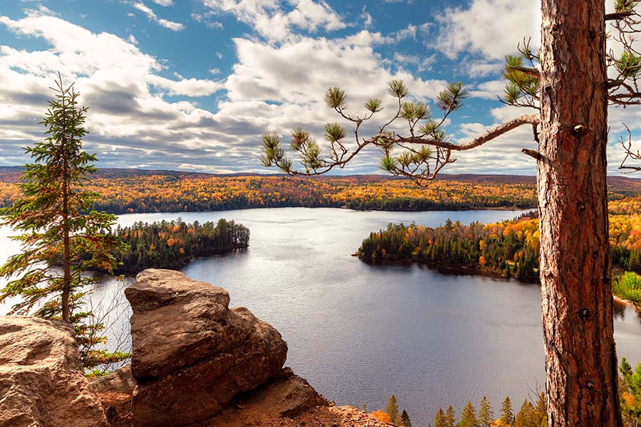 Blog - Landscape View of River and Fall Foliage in Ontario